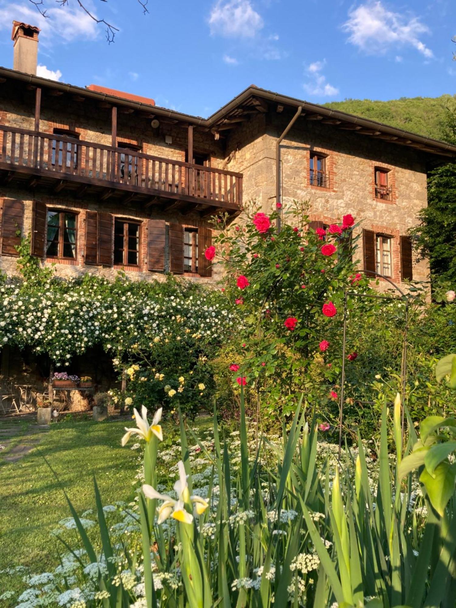 Casa Del Grivo - Alloggio Sole Faedis Zewnętrze zdjęcie